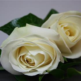 fwthumbwedding 8.jpg